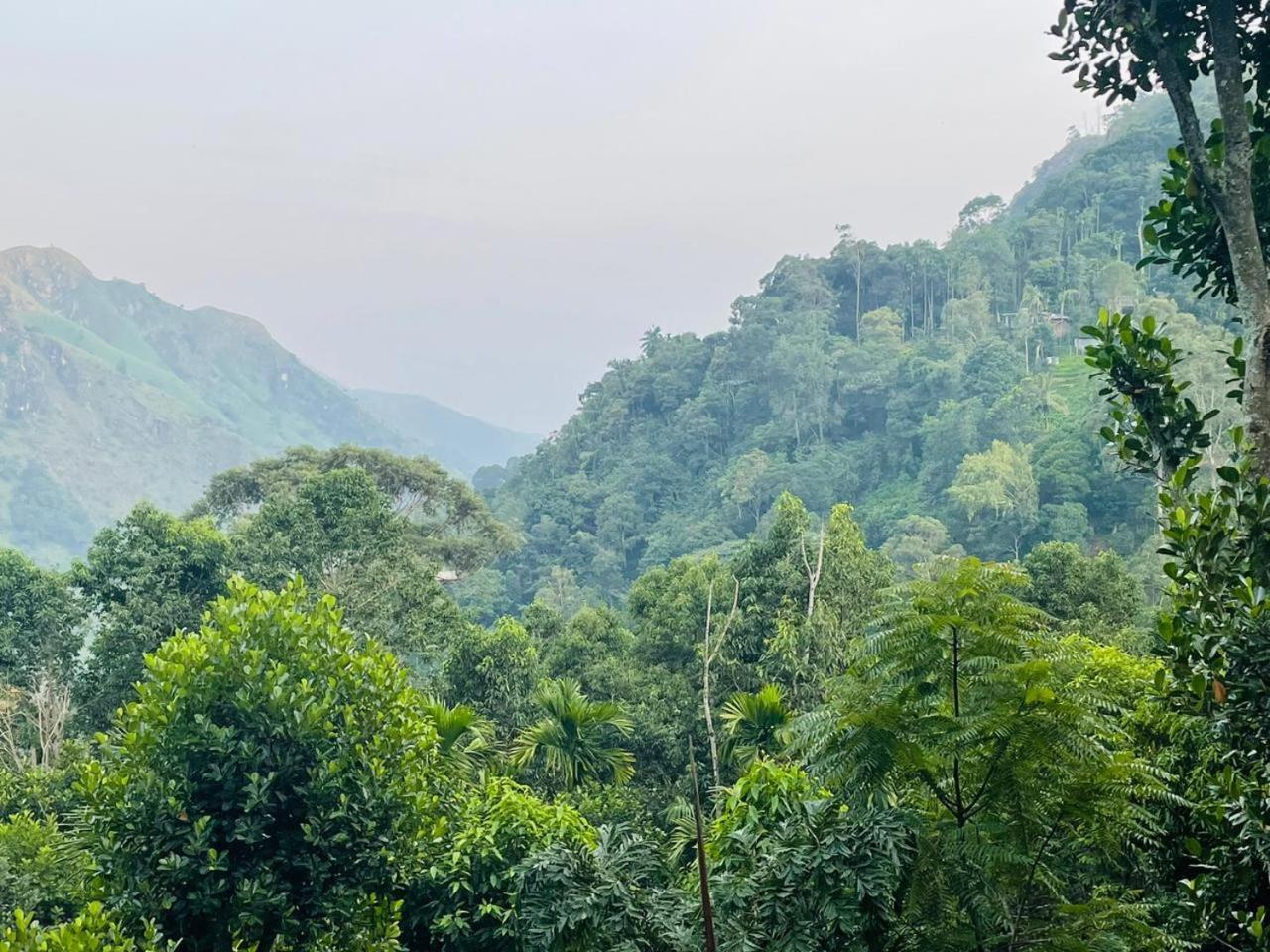 Mid Scenery Home Stay Ella Exterior foto